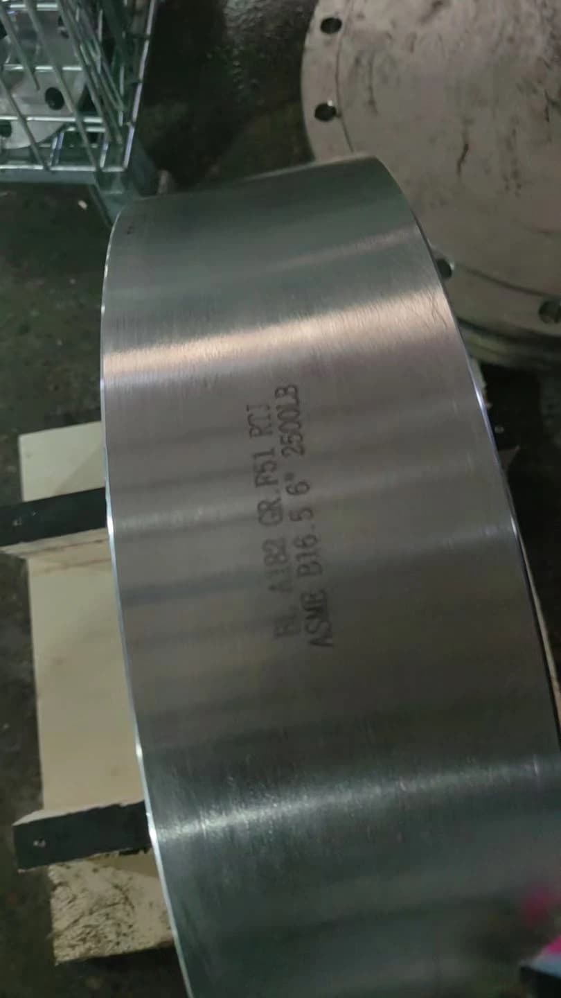 A182 GR. F51 RTJ RF ASME B16.5 6 6"Blind Flange 4